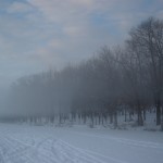 Morning Lake Veil